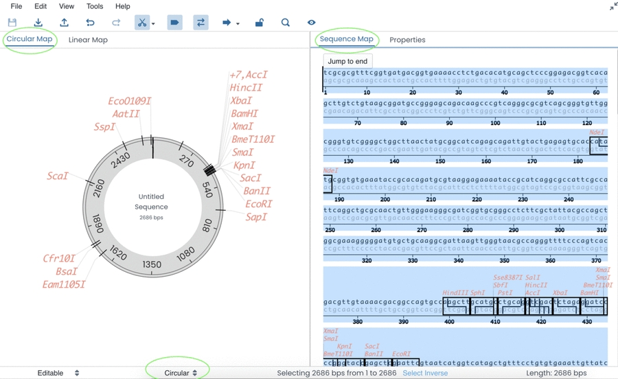 A GIF of circular and linear sequences